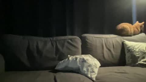 Snapshot of bllyidol chatting on November 24, 2025, 6:46 am BlIdoL online show from November 24, 2025, 6:46 am