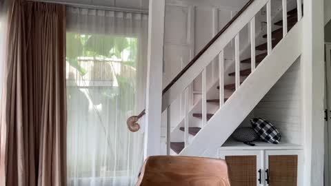 Emma Bloom online show from January 14, 2026, 2:17 am