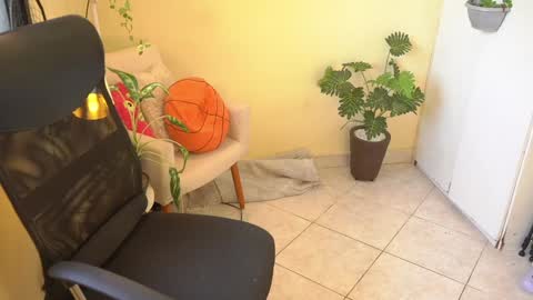 FLORAA online show from January 23, 2025, 2:50 pm