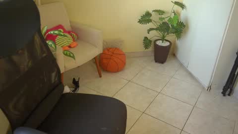 FLORAA online show from March 11, 2025, 10:51 am