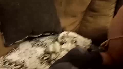 Snapshot of bnaa2m chatting on September 28, 2025, 1:49 pm Assdrtyasuwant online show from September 28, 2025, 1:49 pm