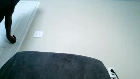 Snapshot of bobbiebone chatting on March 11, 2025, 6:19 pm bobbiebone and company online show from March 11, 2025, 6:19 pm
