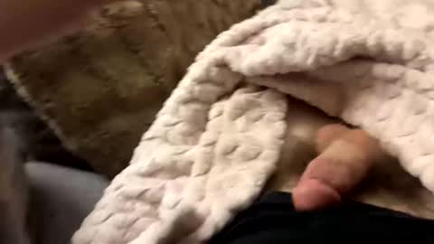 Snapshot of bobdillon401 chatting on January 10, 2025, 6:20 am bobdillon401 online show from January 10, 2025, 6:20 am