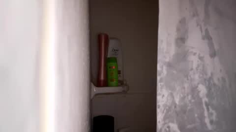 bobfish663 online show from January 31, 2026, 11:03 pm