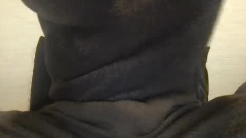 Snapshot of boblight221 chatting on January 9, 2025, 9:58 pm boblight221 online show from January 9, 2025, 9:58 pm