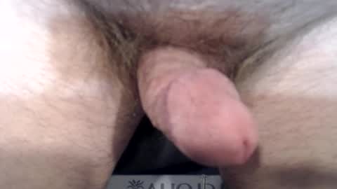 Snapshot of bobswan chatting on December 22, 2024, 3:55 pm bobswan online show from December 22, 2024, 3:55 pm