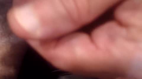 Snapshot of bobswan chatting on September 9, 2025, 9:58 pm bobswan online show from September 9, 2025, 9:58 pm