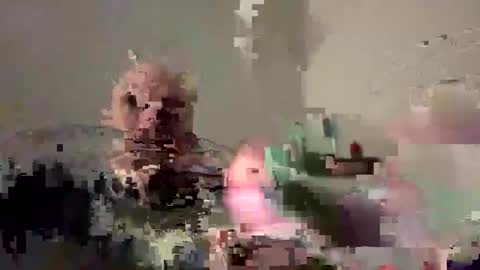 Bodyart85 19 online show from December 4, 2024, 5:55 pm