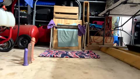 FRECKLES online show from February 18, 2025, 2:38 am