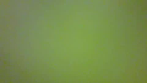 bonniediamond online show from October 30, 2025, 6:52 pm