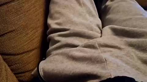 Snapshot of bonny8723 chatting on December 22, 2024, 7:42 pm bonny8723 online show from December 22, 2024, 7:42 pm