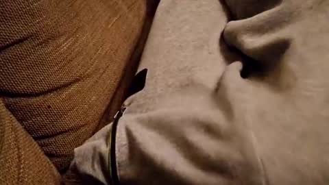 Snapshot of bonny8723 chatting on February 5, 2025, 7:20 pm bonny8723 online show from February 5, 2025, 7:20 pm