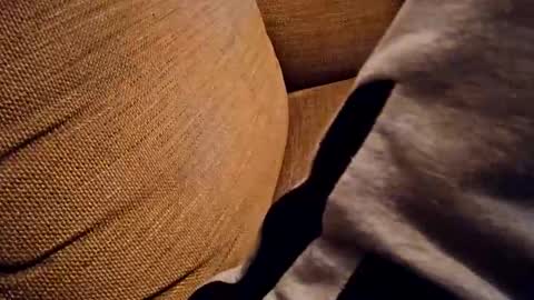 Snapshot of bonny8723 chatting on October 18, 2025, 7:25 pm bonny8723 online show from October 18, 2025, 7:25 pm