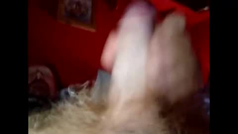 bonzoband online show from December 20, 2024, 10:05 am