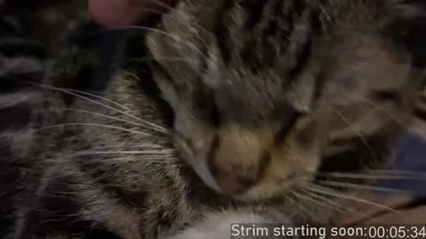 Booker Baxton online show from December 11, 2024, 4:07 am