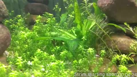 Booker Baxton online show from October 5, 2025, 3:05 am