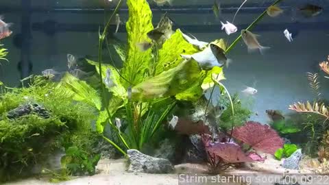 Booker Baxton online show from December 3, 2025, 3:58 am