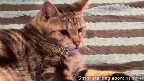 Booker Baxton online show from April 10, 2026, 3:12 am