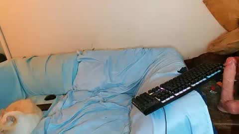 boredandirish21 online show from October 4, 2025, 4:49 pm