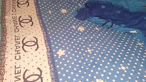 bossetassy online show from April 9, 2026, 4:01 pm