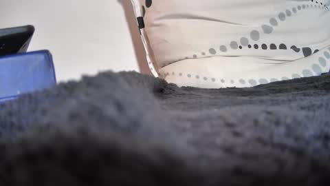 boy3911 online show from February 11, 2025, 5:40 pm