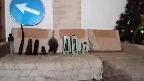 Bes7assquirt online show from February 22, 2025, 7:14 pm