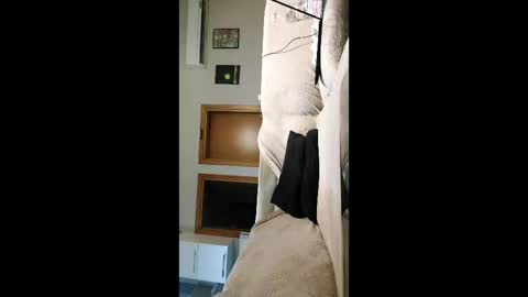 Dan online show from February 3, 2026, 2:53 am