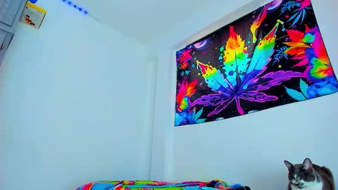 Snapshot of boy_trans chatting on February 3, 2026, 6:46 pm Edward ftm trans queerslave online show from February 3, 2026, 6:46 pm