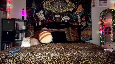 Snapshot of boysdroollx chatting on December 28, 2024, 3:26 am Puddin online show from December 28, 2024, 3:26 am