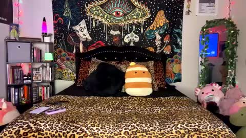 Snapshot of boysdroollx chatting on February 24, 2025, 5:54 am Puddin online show from February 24, 2025, 5:54 am