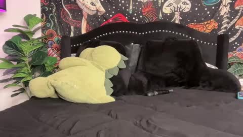 Snapshot of boysdroollx chatting on September 22, 2025, 12:01 am Puddin online show from September 22, 2025, 12:01 am