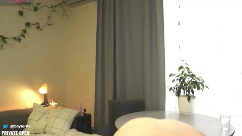 BoyTurtle online show from November 5, 2025, 10:04 am