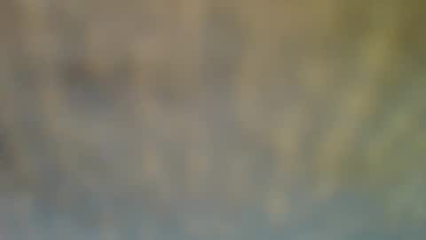 Snapshot of bradynoggle chatting on February 12, 2025, 6:40 pm bradynoggle online show from February 12, 2025, 6:40 pm