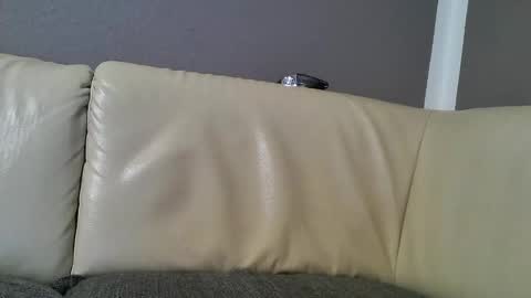 Snapshot of bramer8787 chatting on February 15, 2025, 2:47 am bramer8787 online show from February 15, 2025, 2:47 am