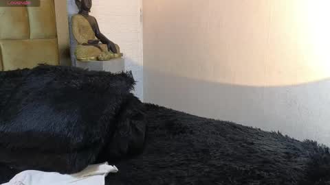 Brand  online show from April 7, 2026, 11:48 pm