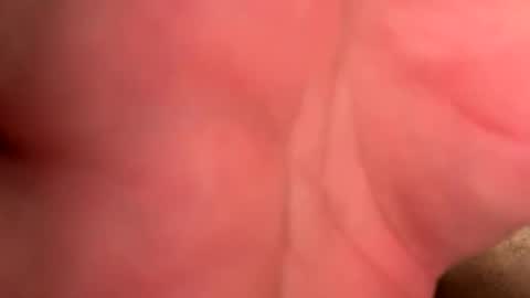 Branden online show from April 15, 2026, 9:59 pm