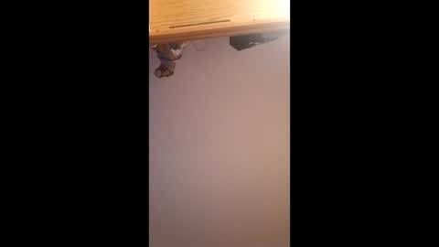 brandon281997 online show from April 1, 2026, 12:06 pm