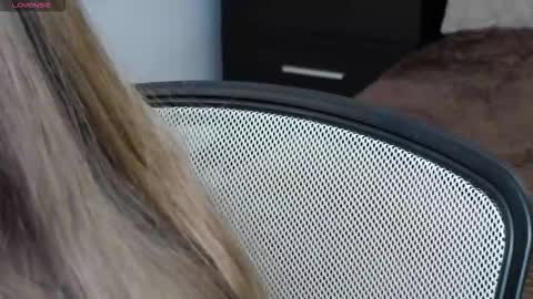 Brandy Gem online show from February 18, 2026, 7:26 am