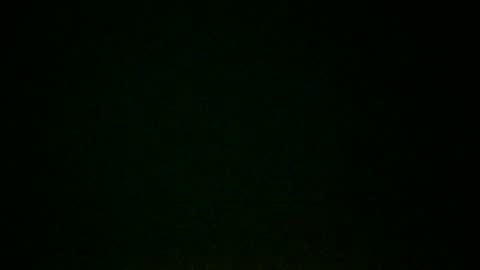 branngnu online show from September 8, 2025, 7:24 pm