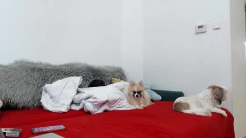 bratzdoll1994 online show from November 4, 2025, 5:12 pm