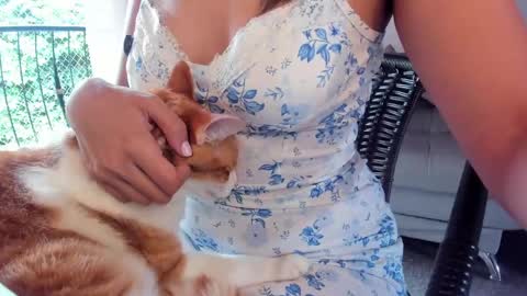 Snapshot of breakfastwithtiff chatting on May 29, 2026, 3:32 pm Mar Unboxinbg For My B-DaySunday 21th June online show from May 29, 2026, 3:32 pm