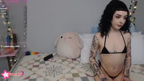 Brianna online show from December 12, 2024, 12:48 am