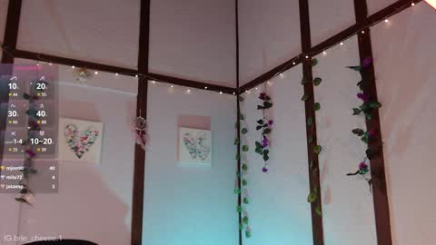 Brie  Ill be away November 2829 and 30. See u on Sunday for more fun online show from February 3, 2025, 8:57 pm