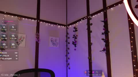 Brie  Ill be away November 2829 and 30. See u on Sunday for more fun online show from February 12, 2025, 8:07 pm