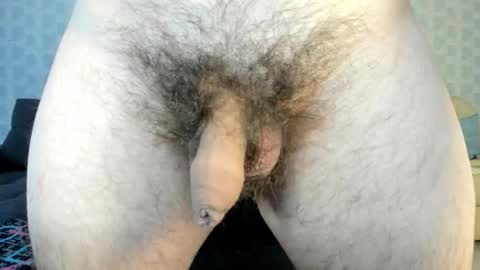 Bruce Wayne94 online show from February 19, 2026, 6:42 am