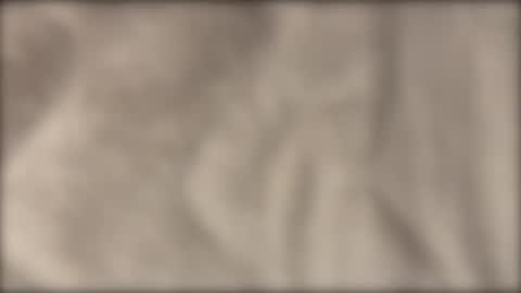 lvdy online show from February 22, 2026, 10:14 am