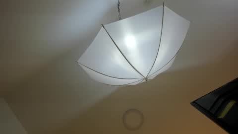 bryannamiller online show from November 11, 2025, 11:54 am