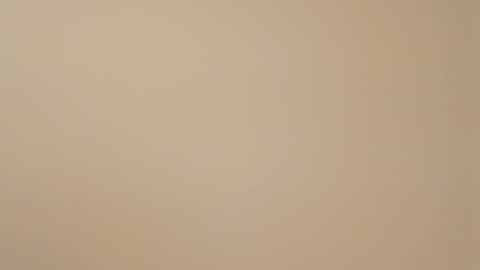 HazelEyedStud1999 online show from March 12, 2025, 12:31 am