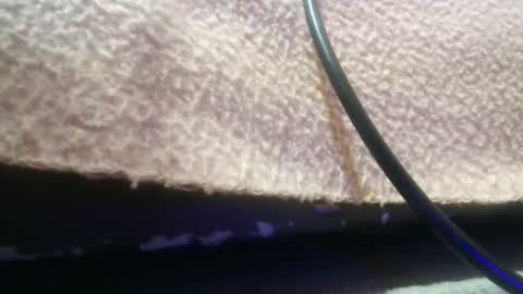 Snapshot of bubumaci53 chatting on November 30, 2025, 10:47 pm bubumaci53 online show from November 30, 2025, 10:47 pm