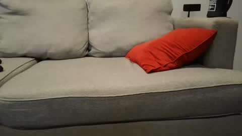 Buck online show from September 23, 2025, 2:42 pm